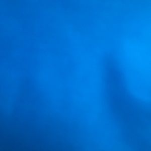 Meet your Posher, Rosalie